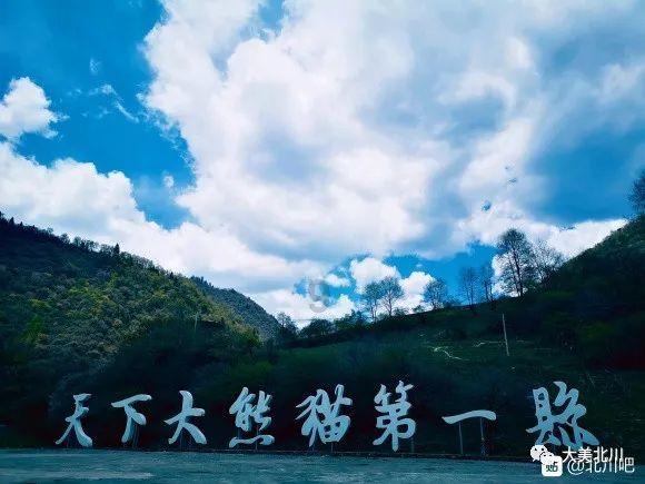 解答您的问题,机智问答网站凉拌牛肉可以放薄荷吗专业提供帮助